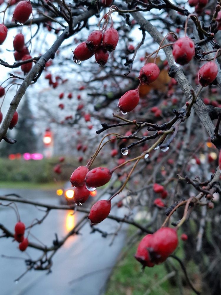 Фотография автора Ольга