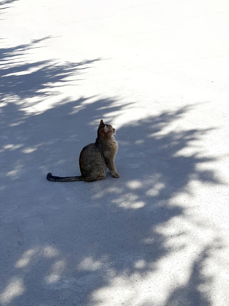 Photograph by Inessa Botasheva