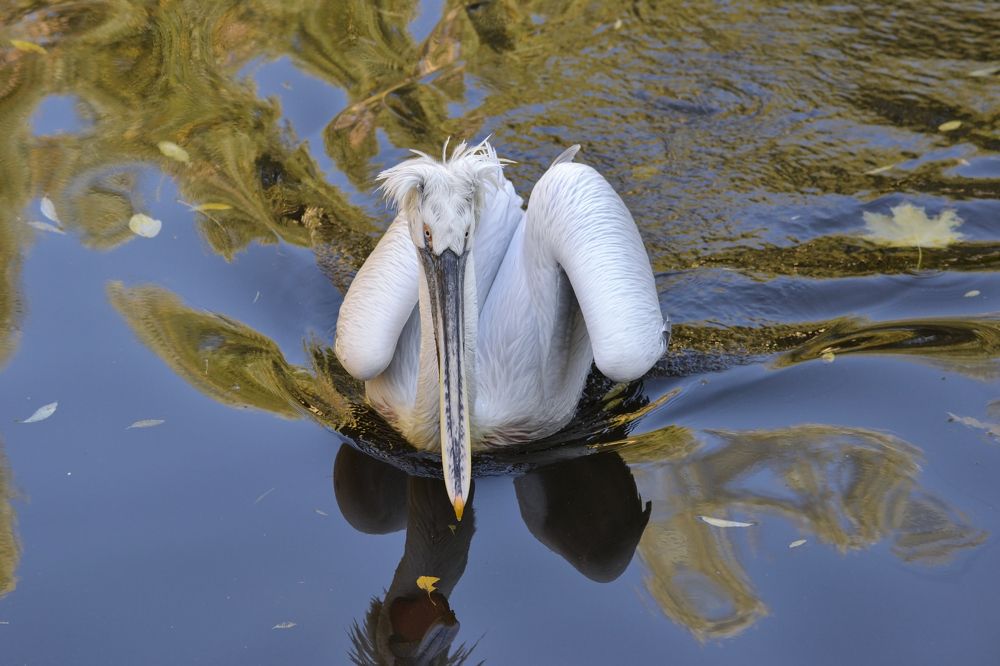 Photograph by Елена Иванова