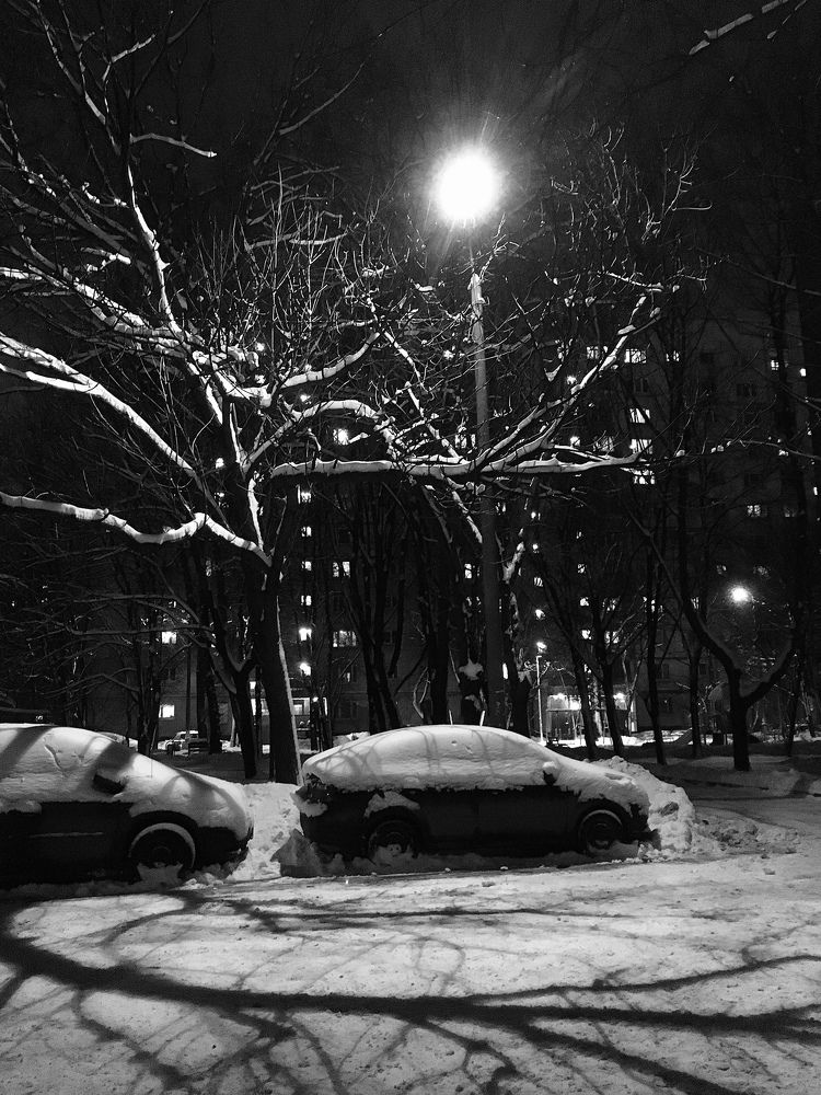 Photograph by Елена Макуха