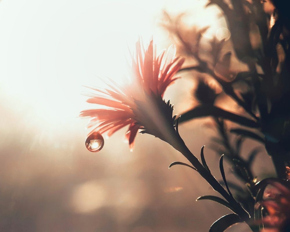 Photograph by NGUYEN LIEN