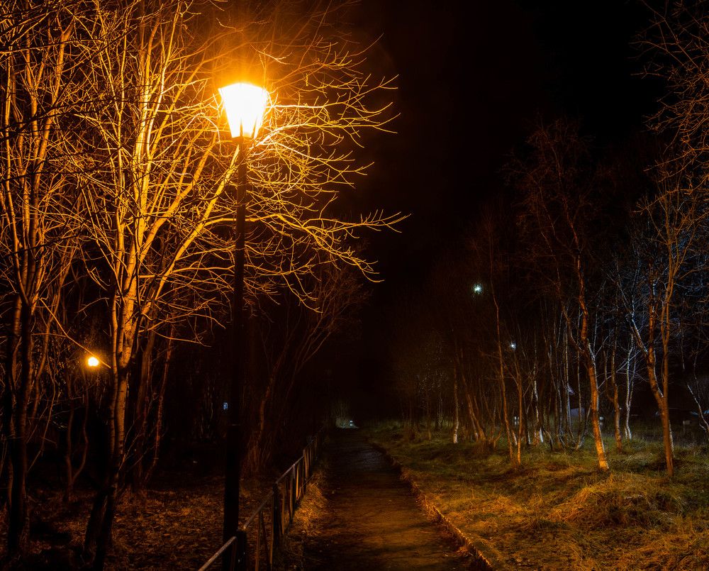 Photograph by Алексей Базаров