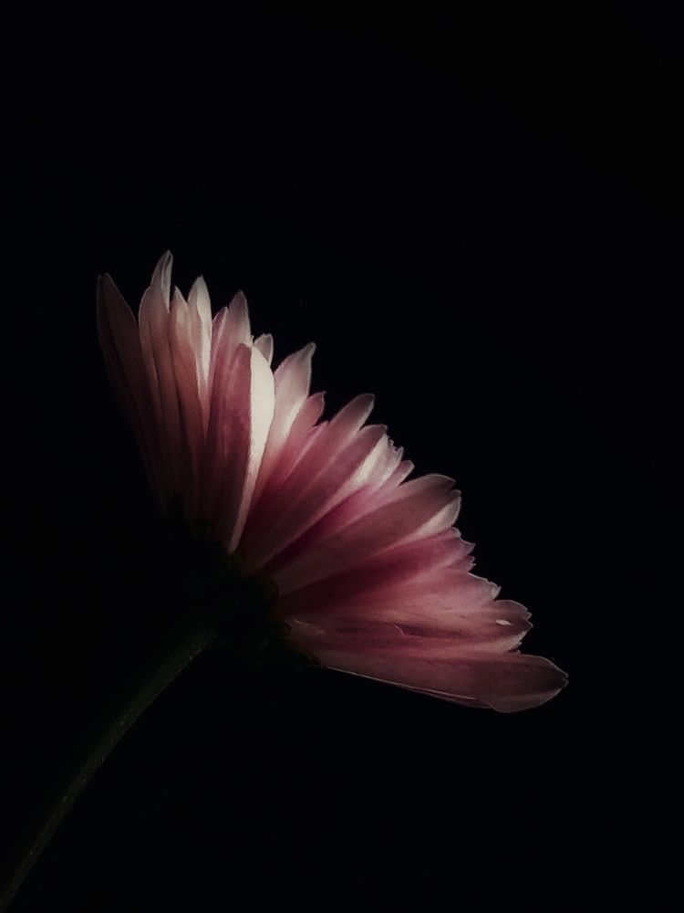 Photograph by Александра Кропивка