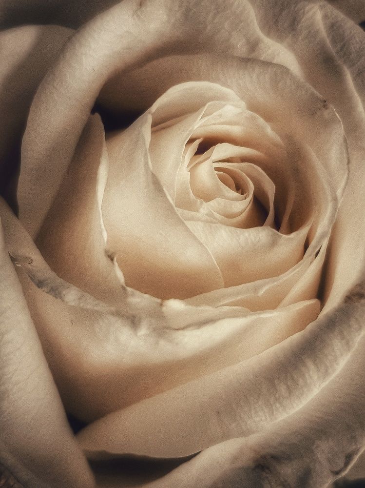 Photograph by Александра Кропивка