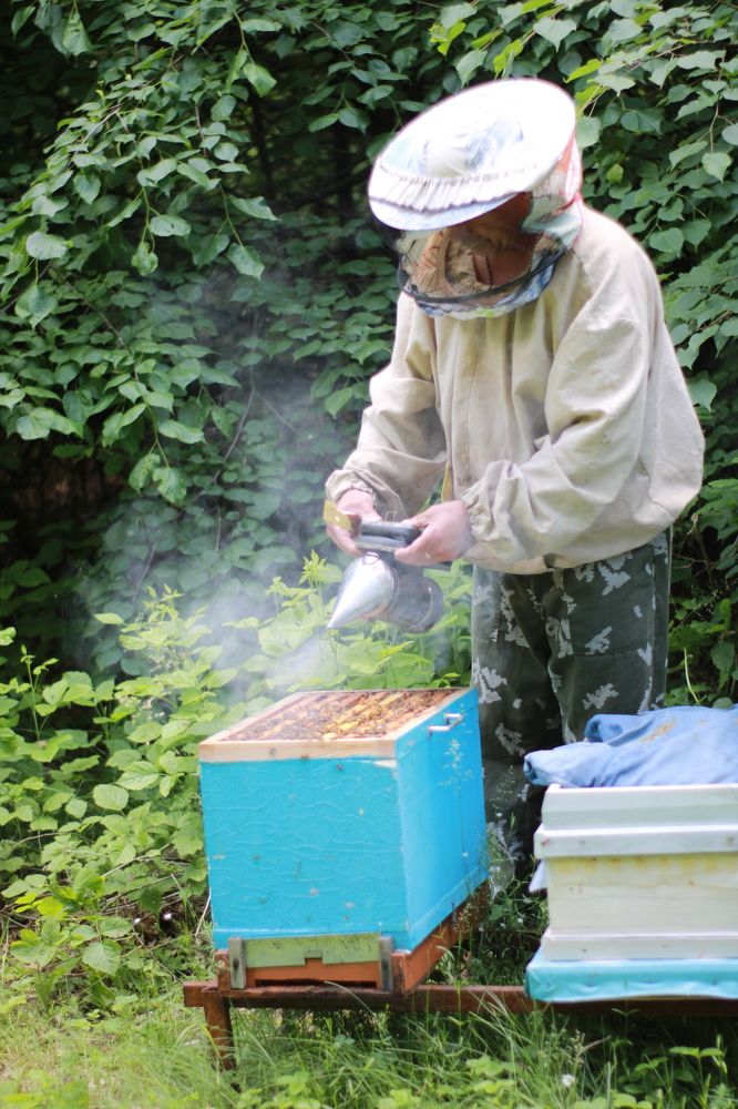 Photograph by Анастасия Липаткина