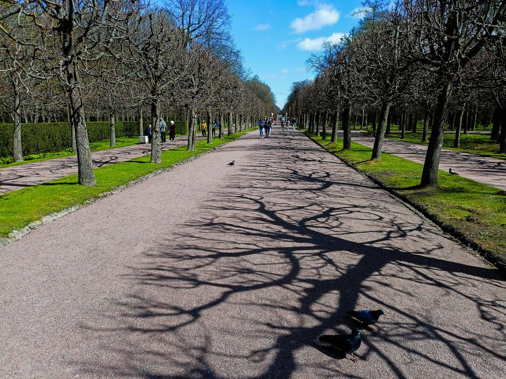 Photograph by Олег Башкуров