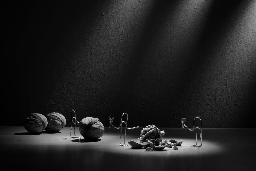 Photograph by Рассохин Николай