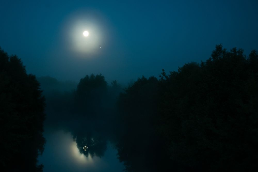 Фотография автора Никита Сергеев