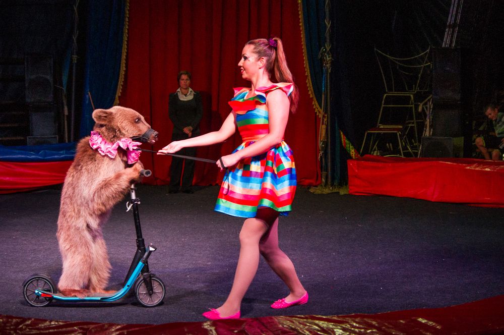 Фотография автора Ксения Смирнова