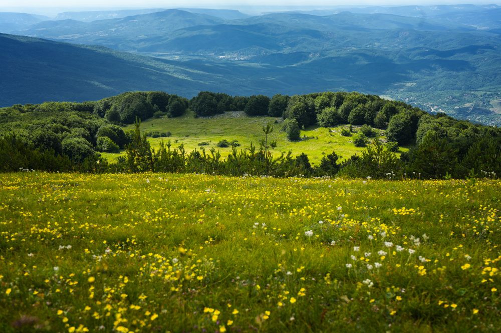 Photograph by Игорь Вишневский