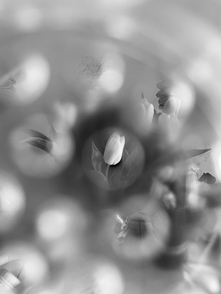 Photograph by Олеся Лагутина