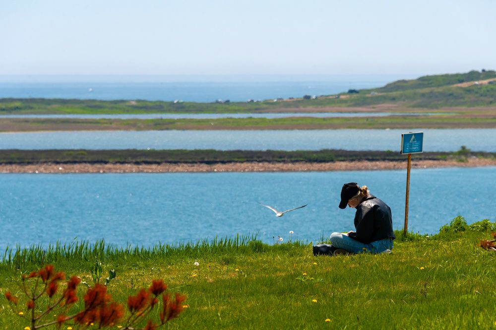 Фотография автора Дмитрий Старостин