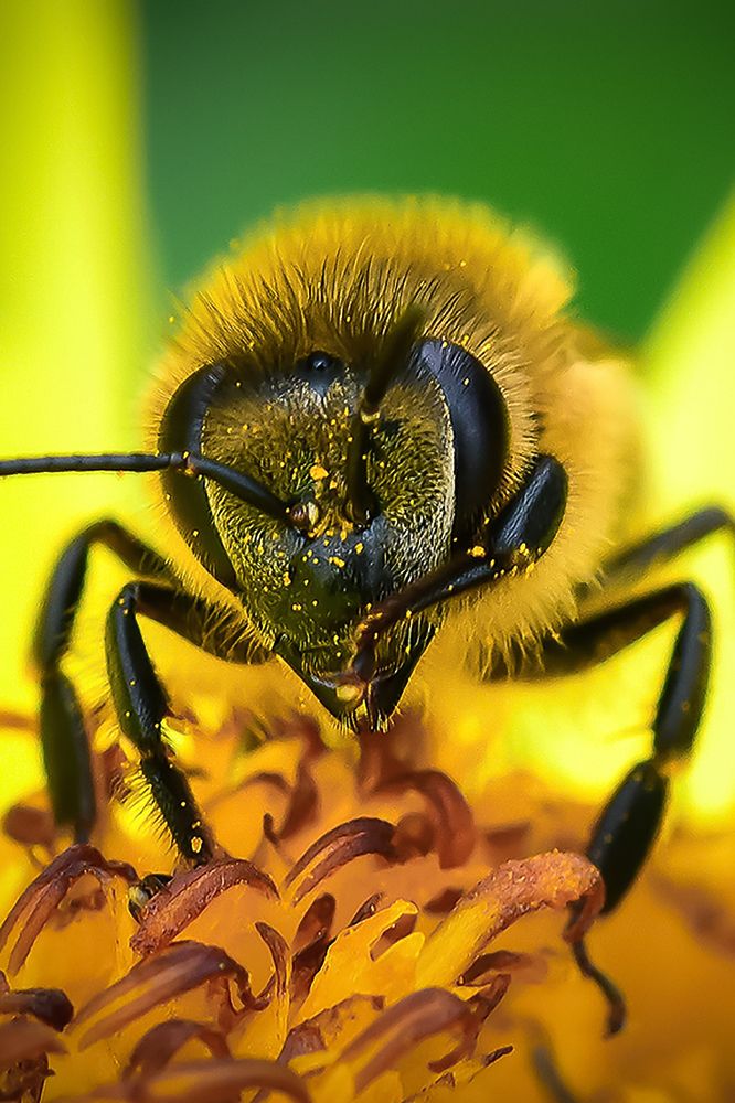 Photograph by Нели Арнаудова