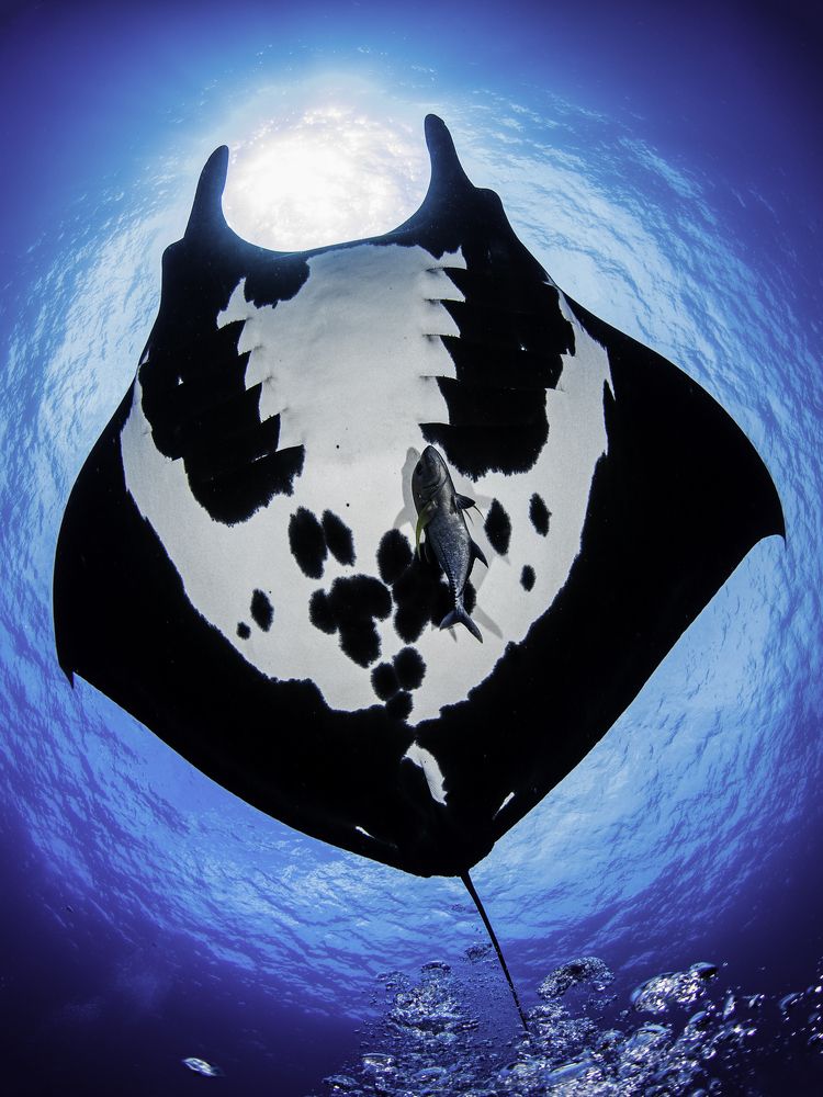 Photograph by Merche Llobera