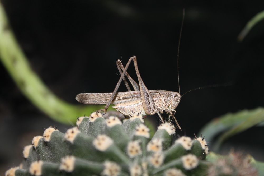 Photograph by Елена Леонович