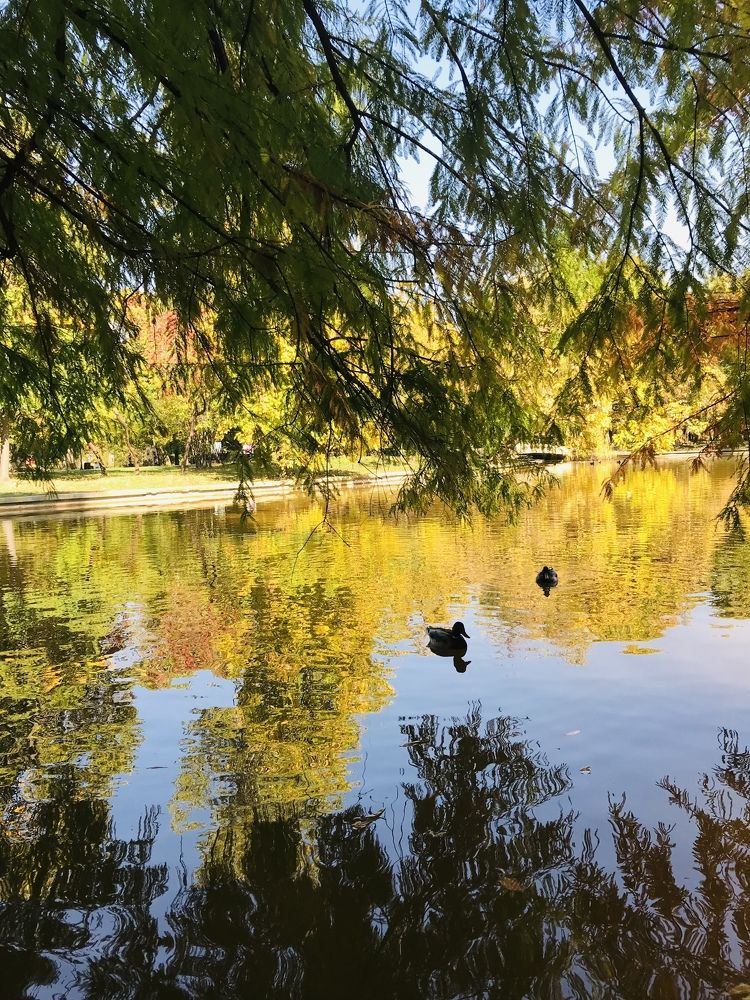 Photograph by Anca Hultoana