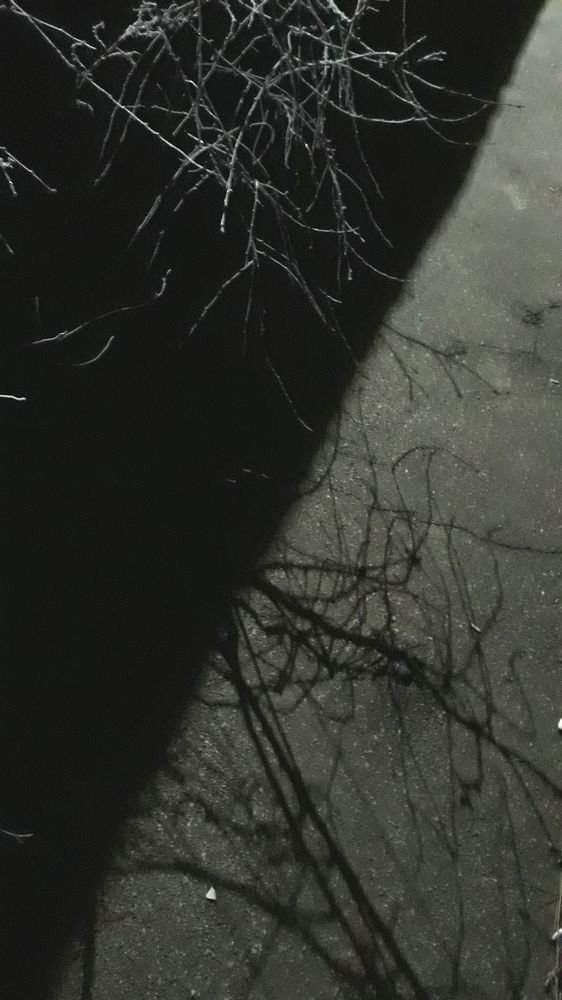 Photograph by Юрий Варюхин