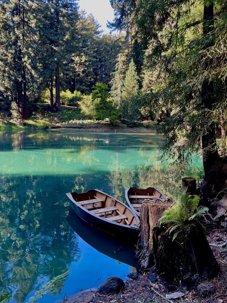 Фотография автора Evgenia