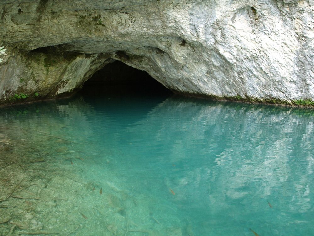 Фотография автора Dubravko Maricic