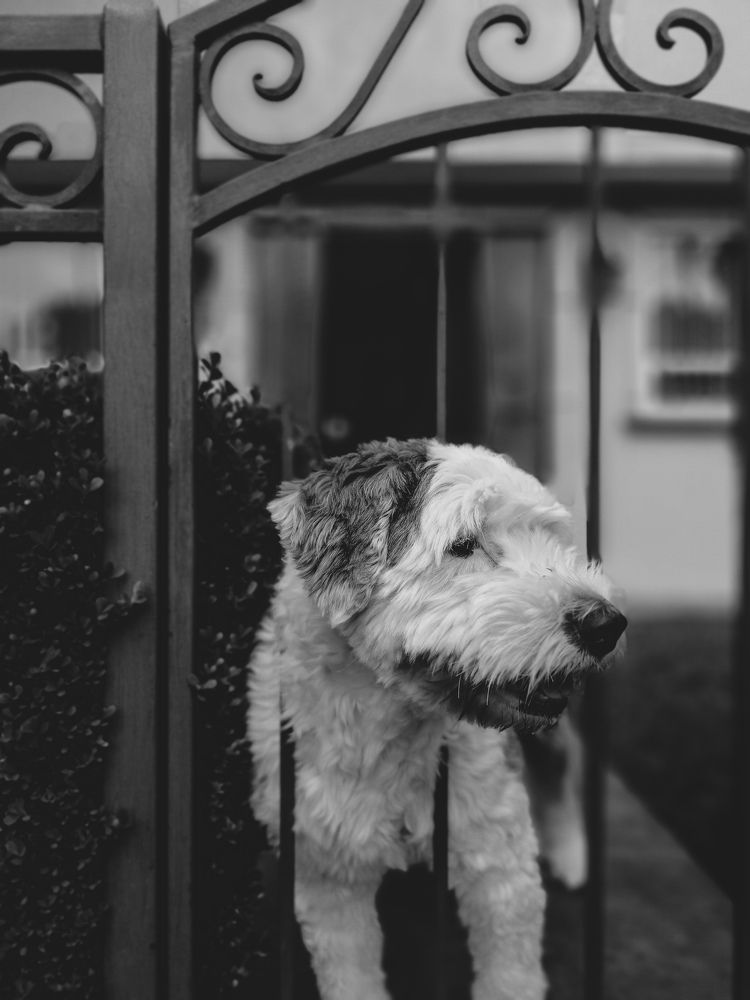 Mia