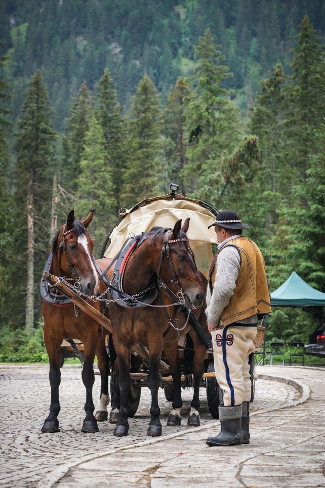 Photograph by Olga Jasińska