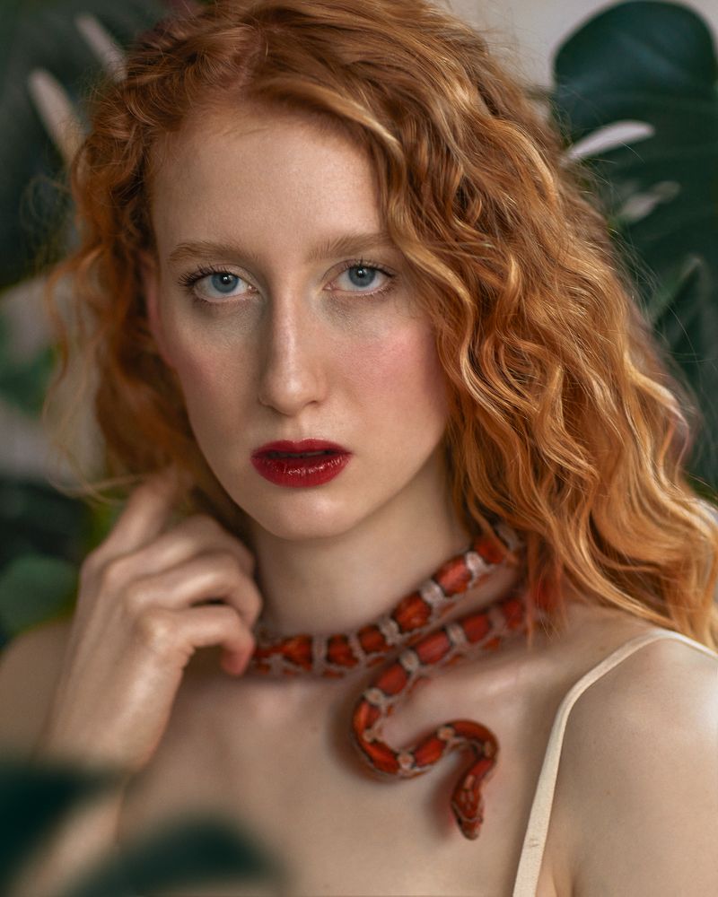 Photograph by Natalie Seitner