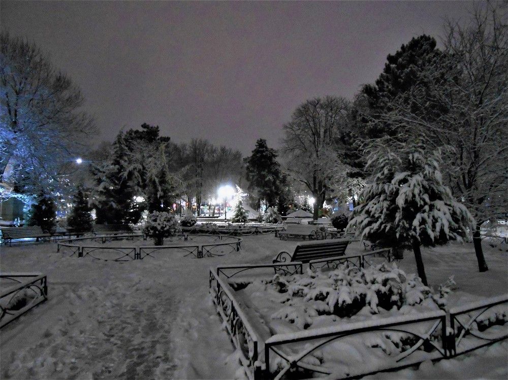 Зима в парке Тренёва, Симферополь