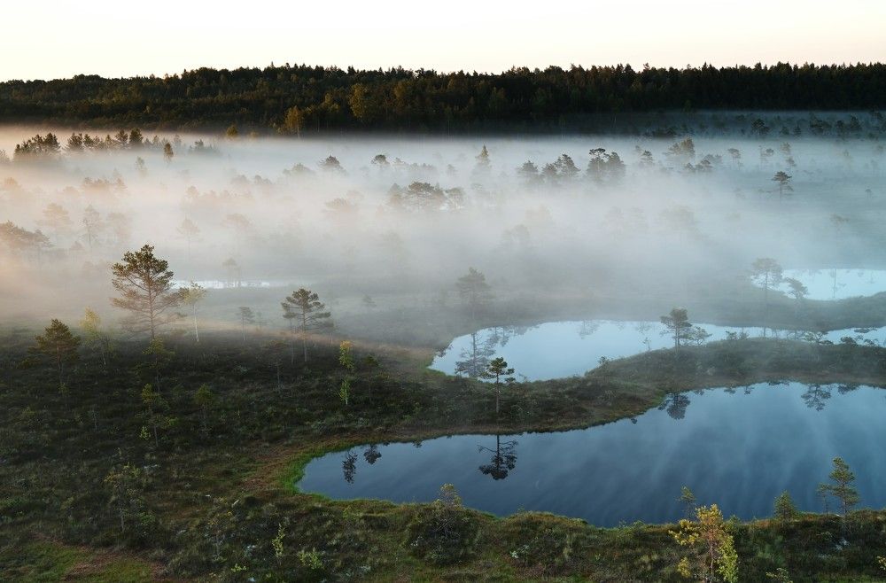 Photograph by IJA REIMAN