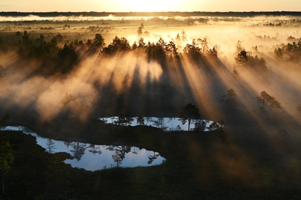 Photograph by IJA REIMAN