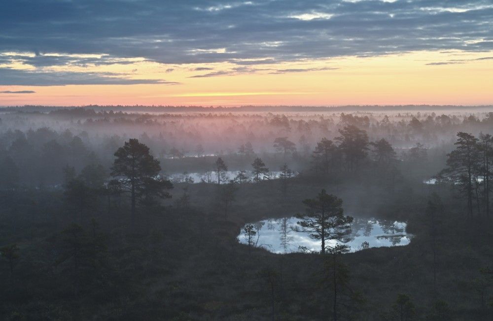 Photograph by IJA REIMAN