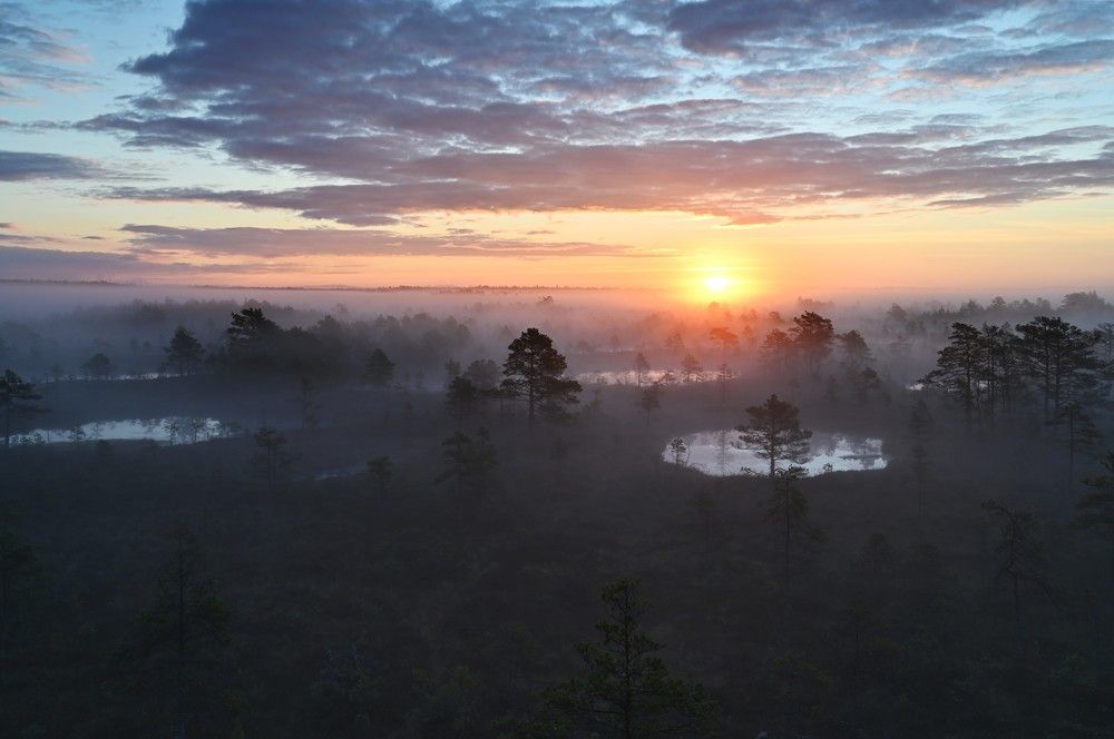 Photograph by IJA REIMAN