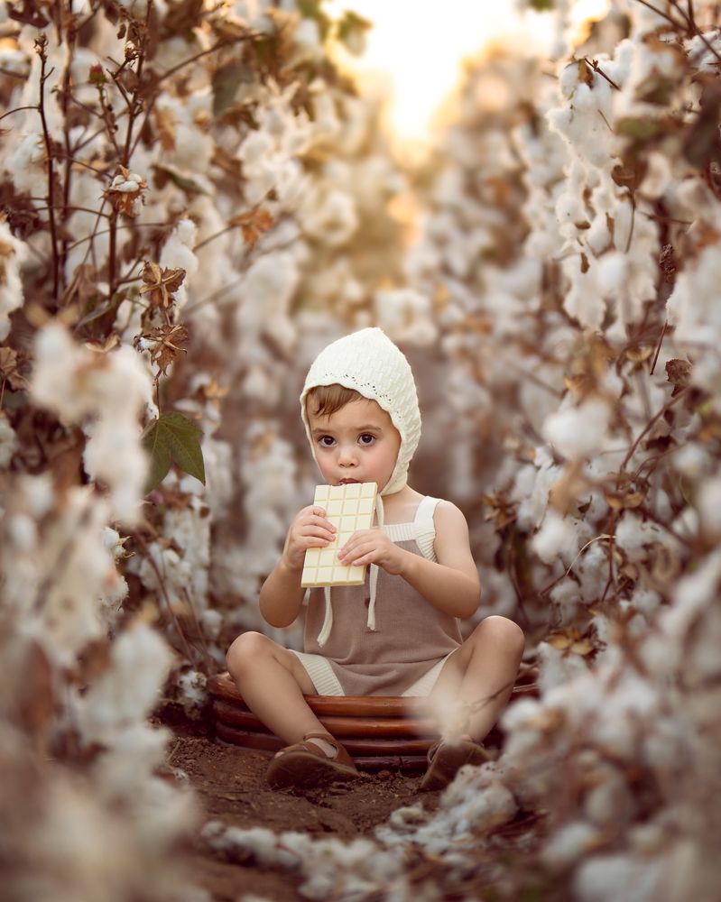 Photograph by Rotem Katz