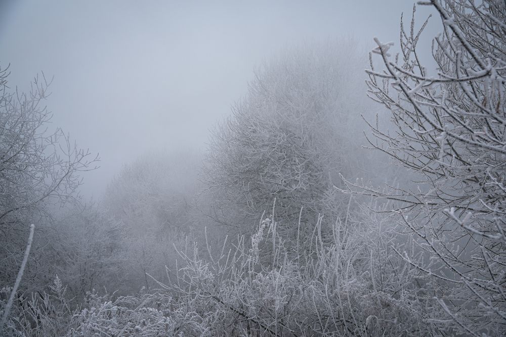 Фотография автора Войнов Дмитрий
