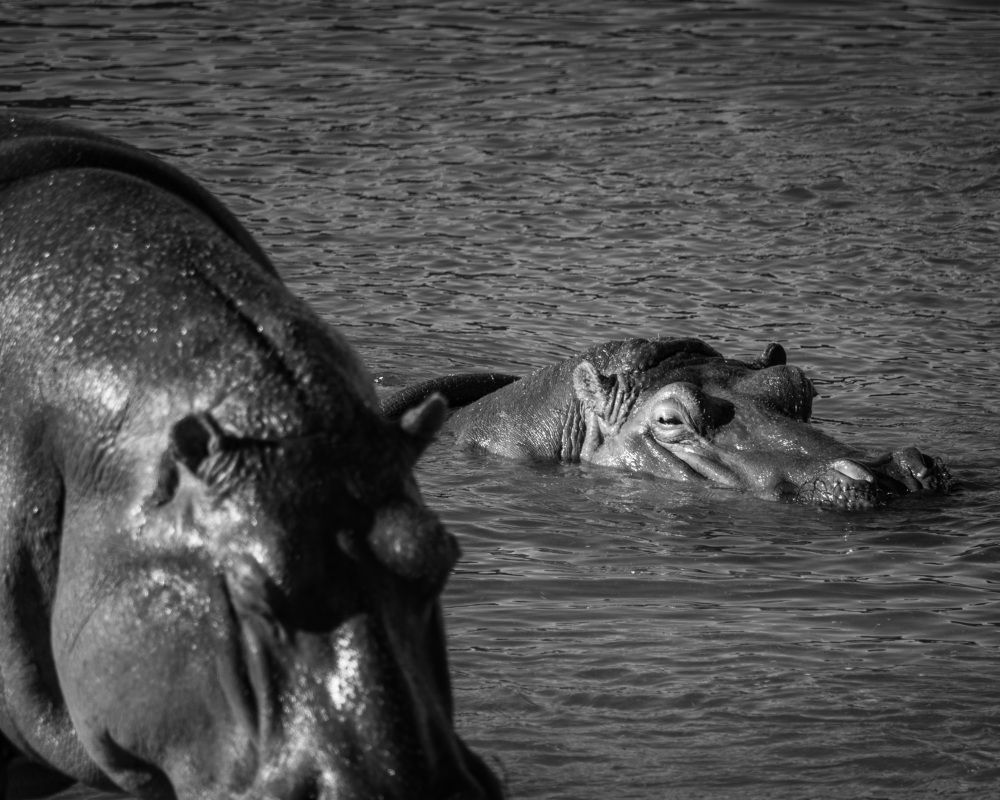 Photograph by Medina de la Campa Belen