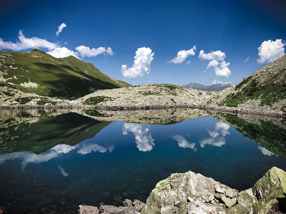 Photograph by Марина Тихонова