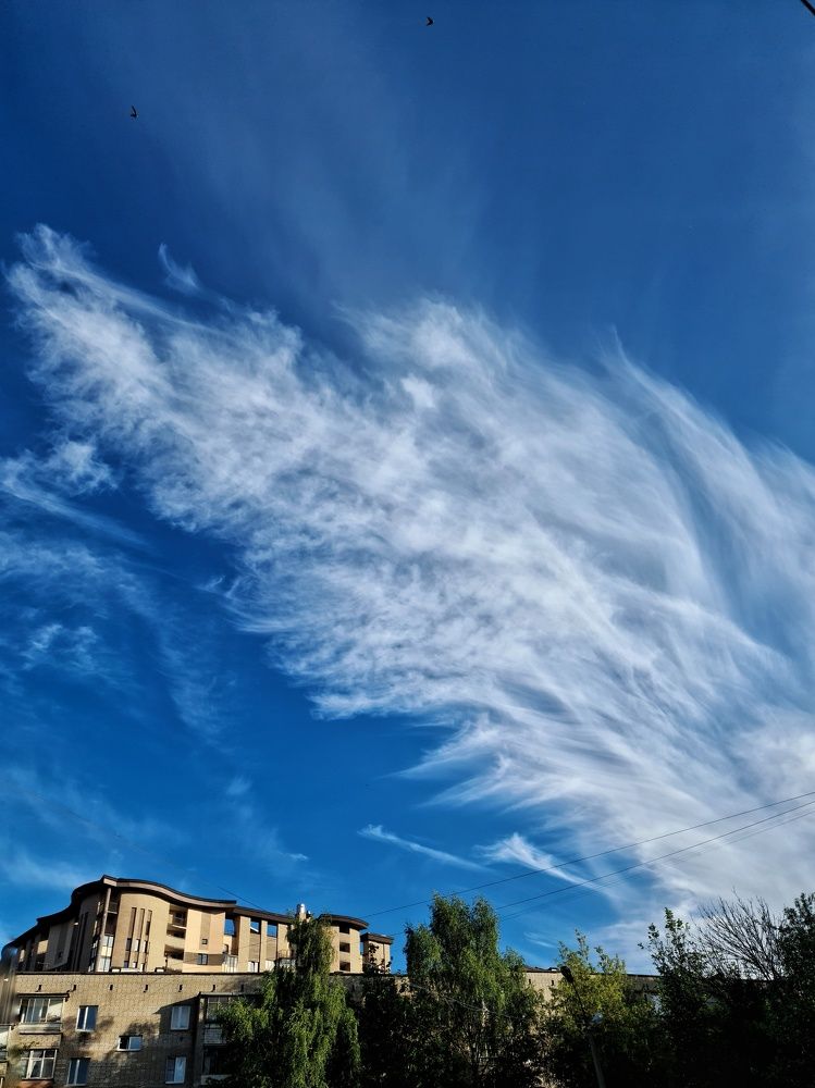 Photograph by Светлана Смирнова