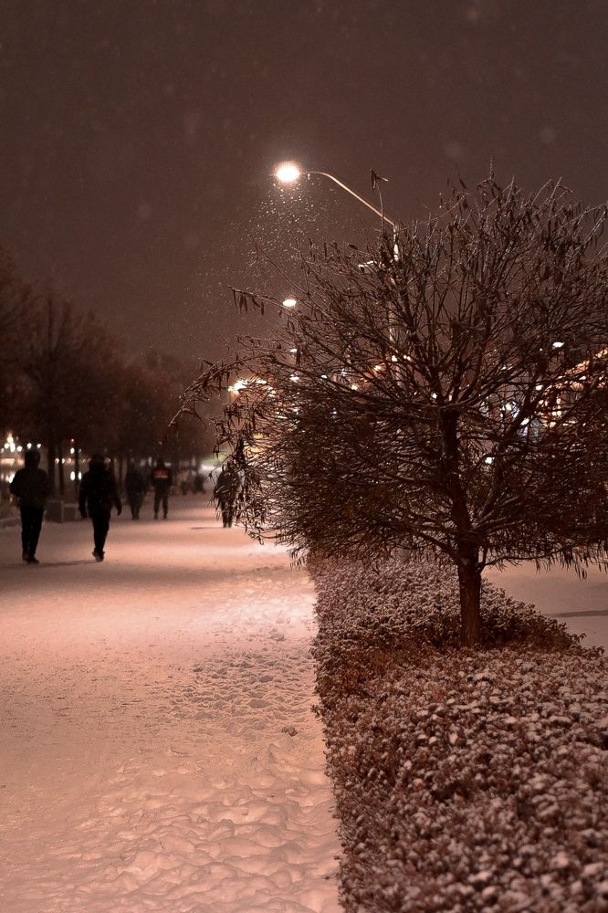 Photograph by Elvira