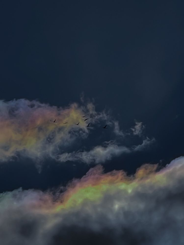 Photograph by Elvira