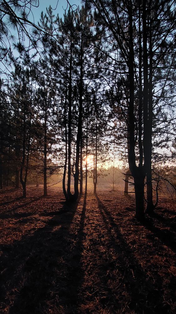 Фотография автора Артур Зюзин