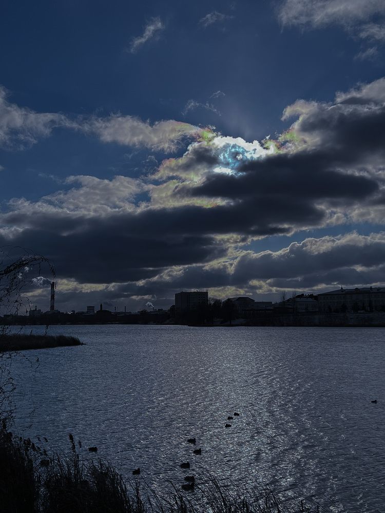 Photograph by Elvira