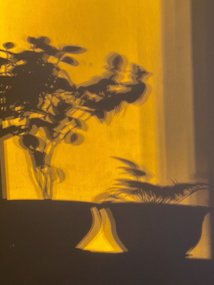 Photograph by Elvira