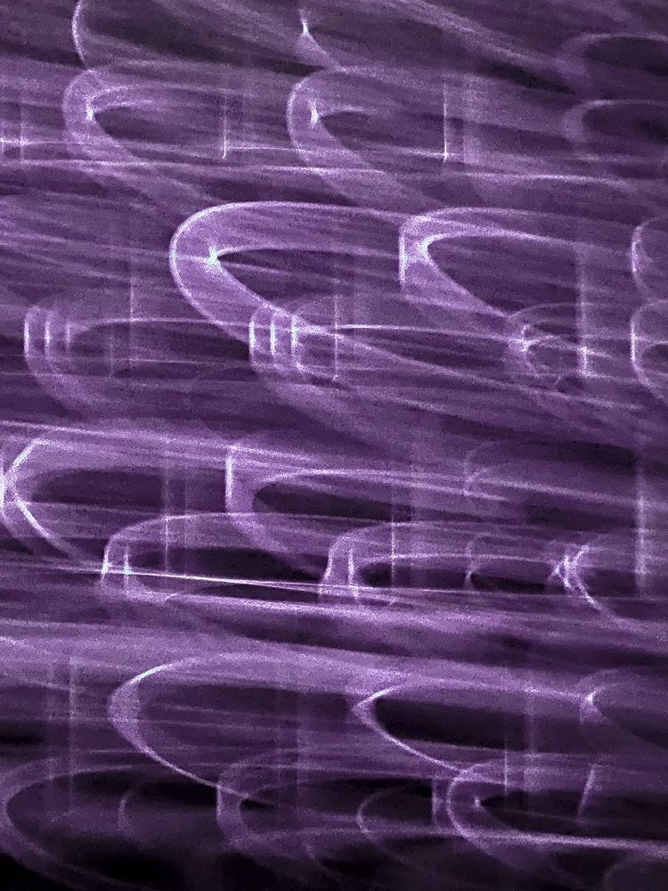 Photograph by Elvira