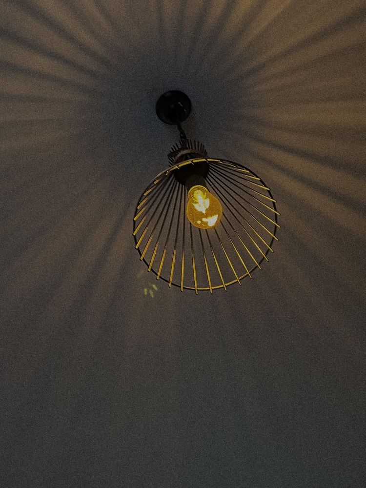 Photograph by Elvira