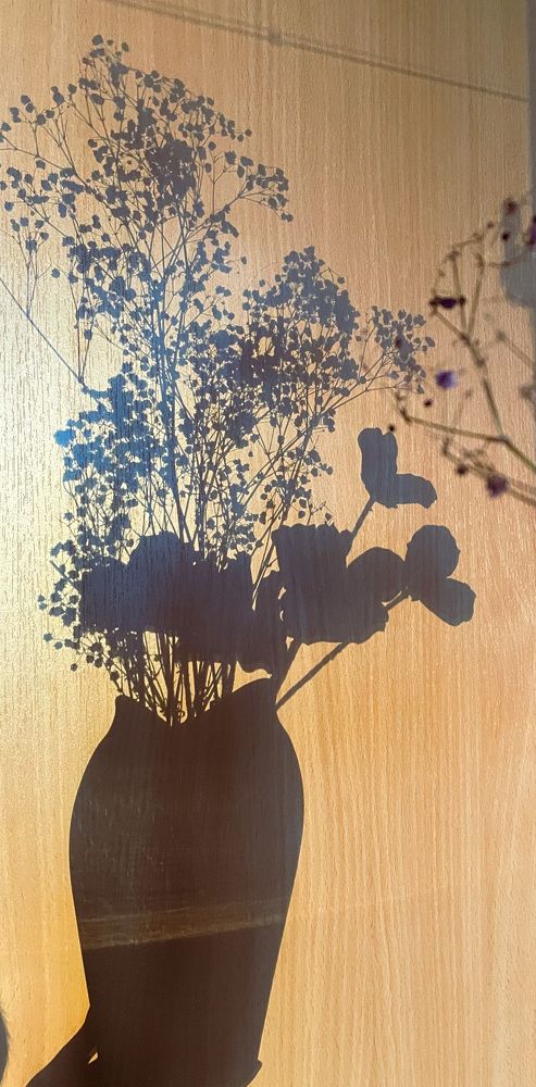 Photograph by Анна Колесниченко