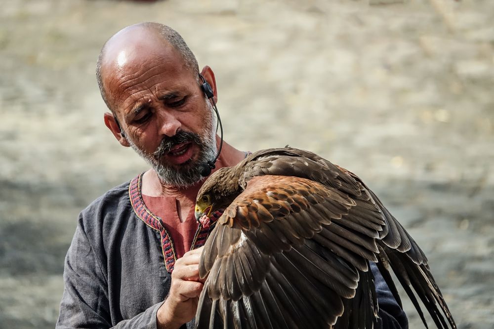 Сокольничий