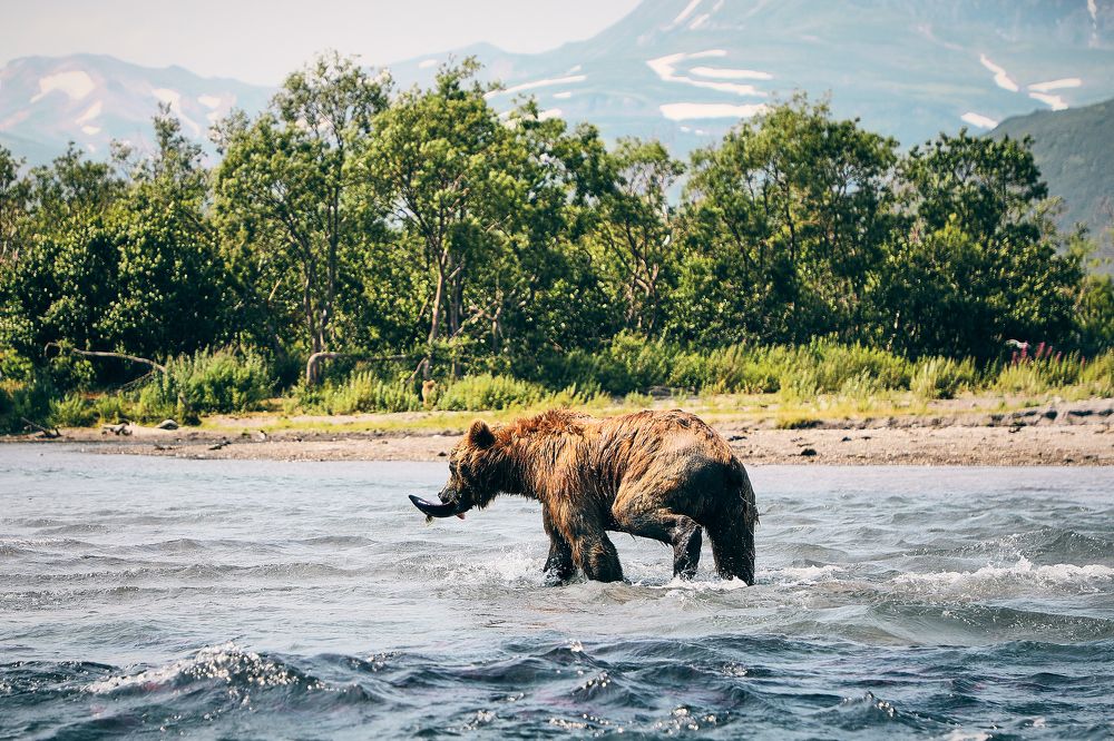 Фотография автора Evgeny Gorbunov