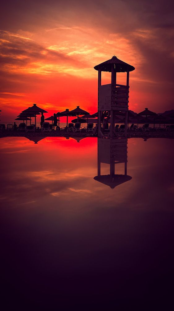 Photograph by Алена Синявская