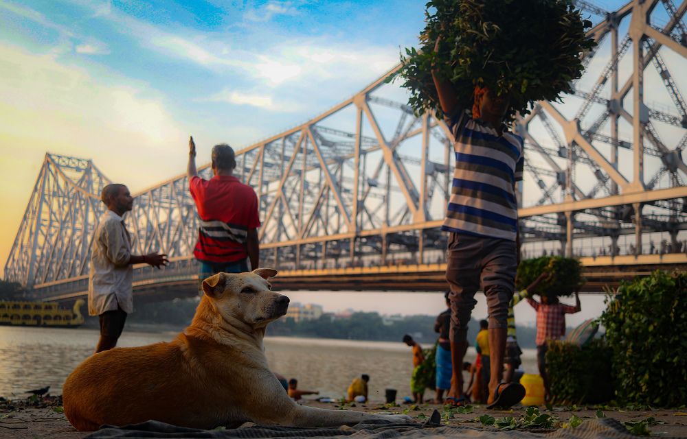Фотография автора samrat roy