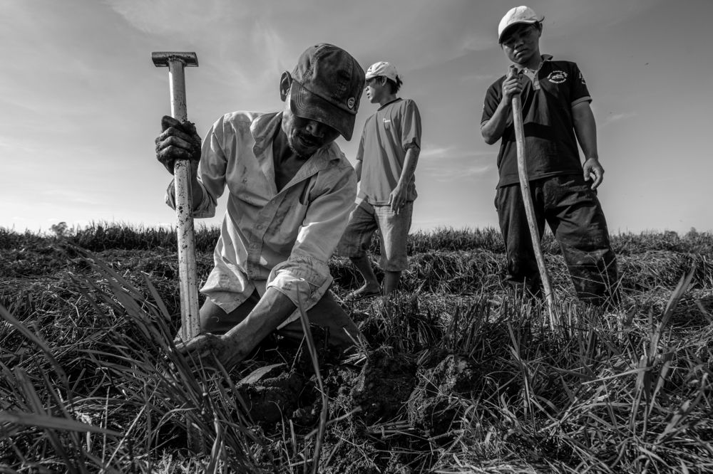 Photograph by Nguyễn Sơn