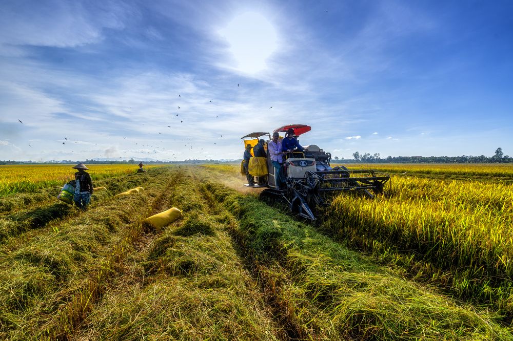 Photograph by Nguyễn Sơn